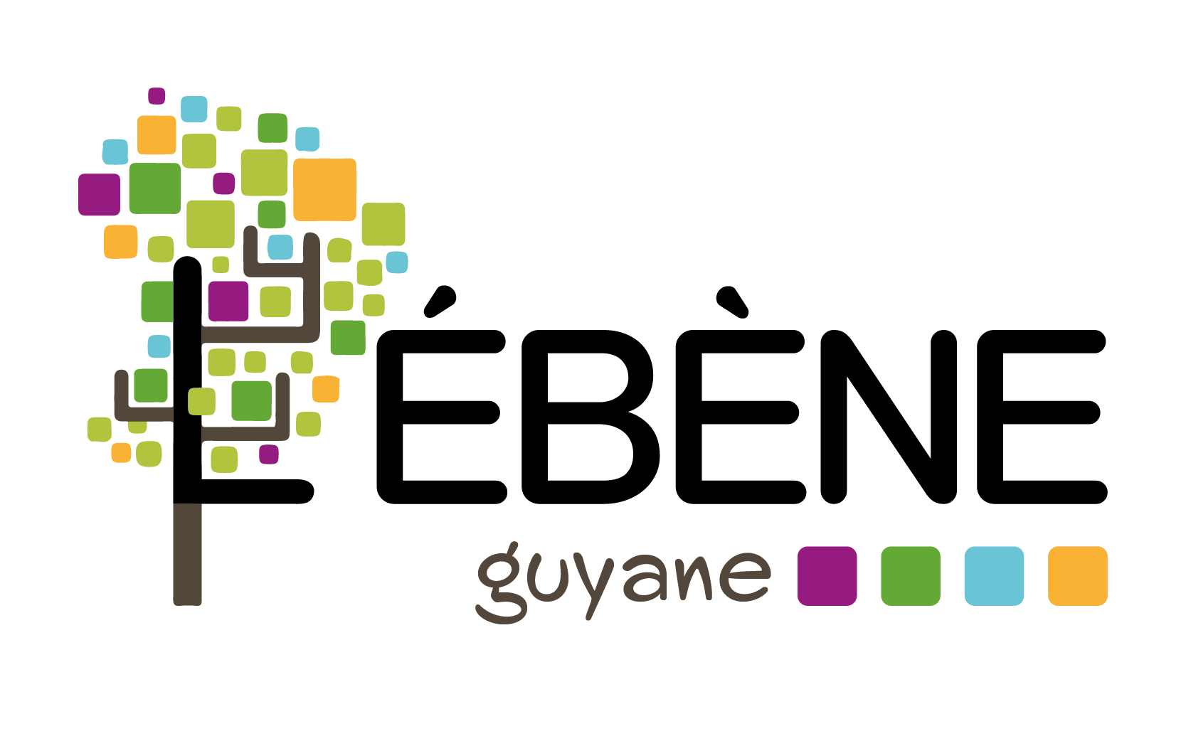 Logo EBENE Guyane